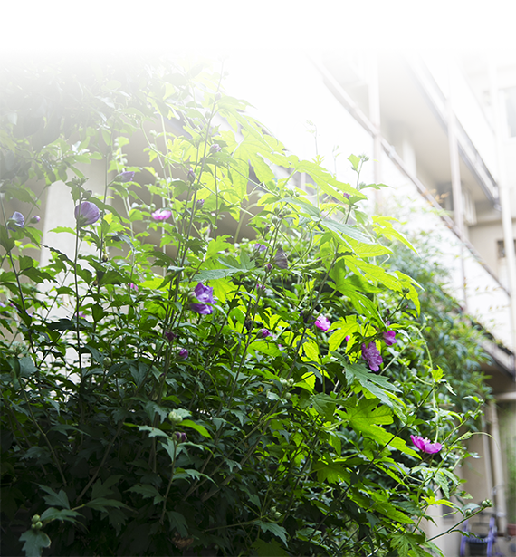 画像の説明 画像の説明